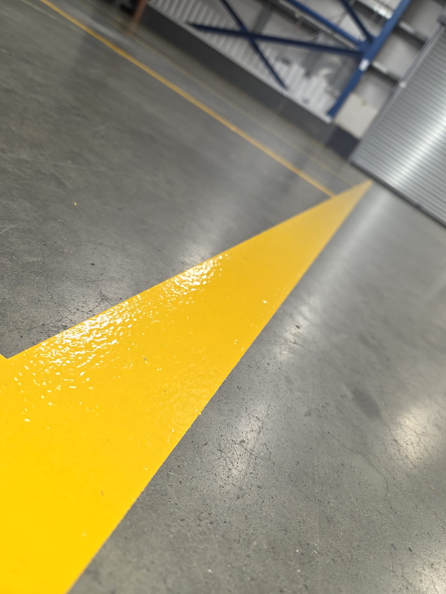 Pharmaceutical Factory Safety Line Marking, Dublin project photograph 2
