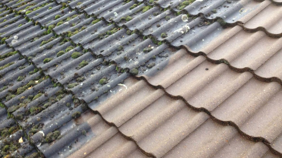 Residential roof cleaning